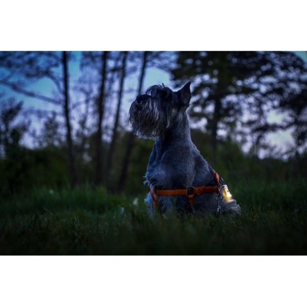 Svítilna multifunkční ARMYTEK Zippy - šedé
